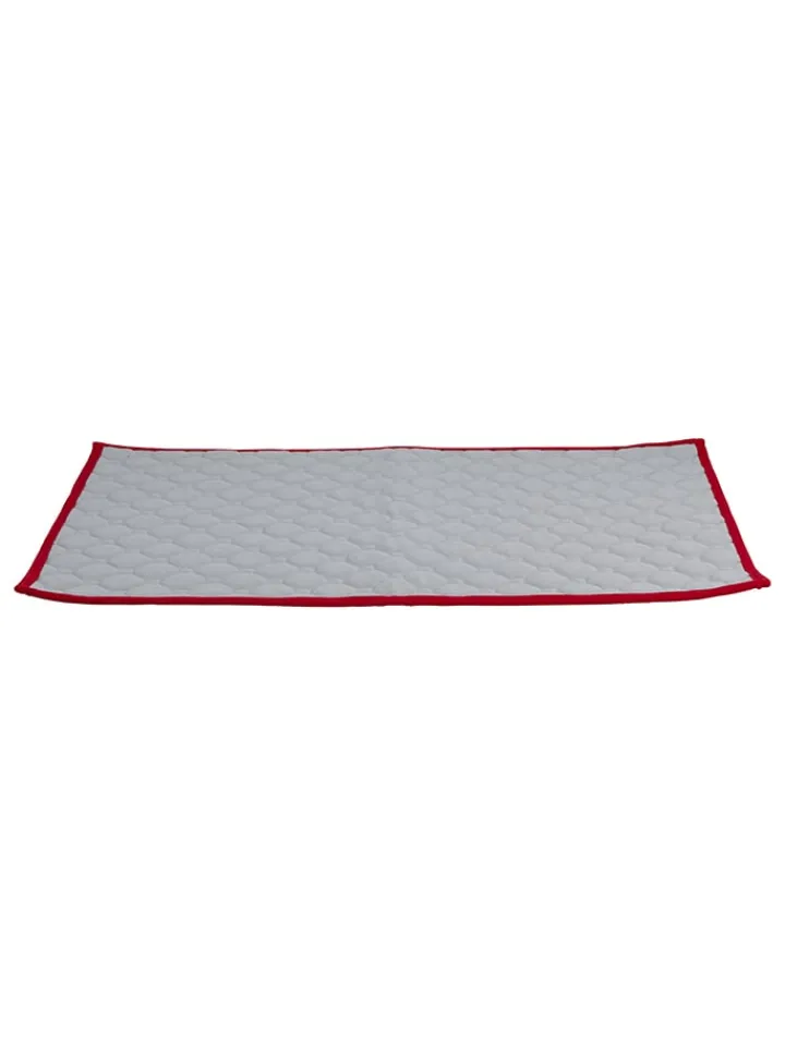 Edco Hunde<Welpen-Trainingsmatte in Grau - (L)60 x (B)45 cm