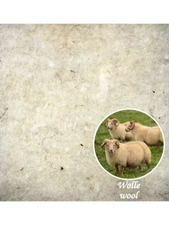 Erwin Müller Betten & Matratzen<Wolle Matratzenauflage Saalfeld in natur
