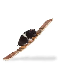 relaxdays Kleintiere<10x Hängebrücke in Natur - (B)55 x (T)10 cm